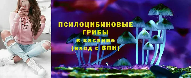 Галлюциногенные грибы Magic Shrooms  Покачи 